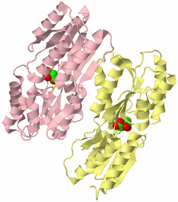 Image Biological Unit 6