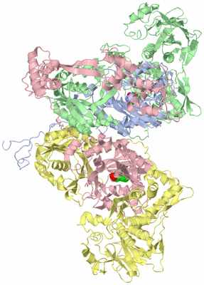 Image Biological Unit 1