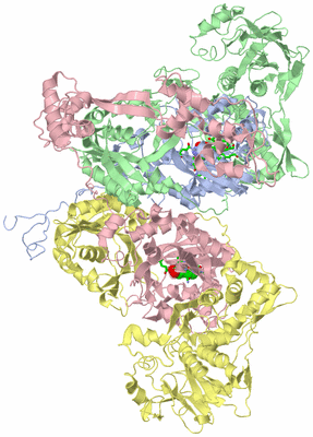 Image Biol. Unit 1 - sites