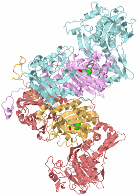 Image Biological Unit 2