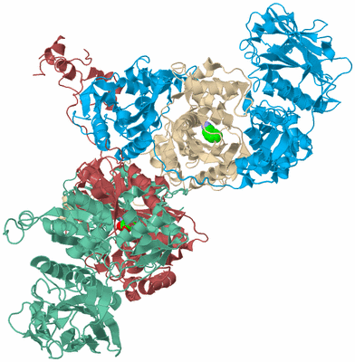 Image Biological Unit 3