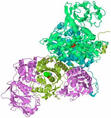 Image Biological Unit 4