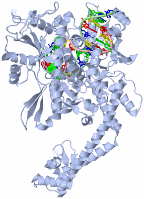 Image Biological Unit 1