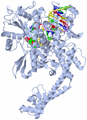 Image Biological Unit 2