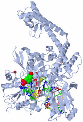 Image Biological Unit 1