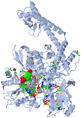 Image Biol. Unit 1 - sites