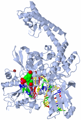 Image Biological Unit 2