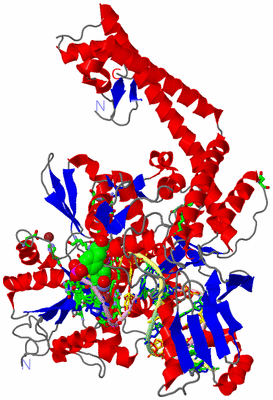 Image Asym. Unit - sites