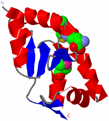 Image Asym./Biol. Unit