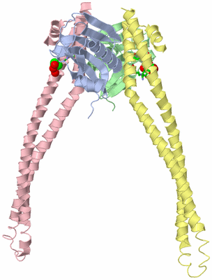 Image Asym. Unit - sites