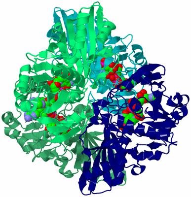 Image Asym./Biol. Unit