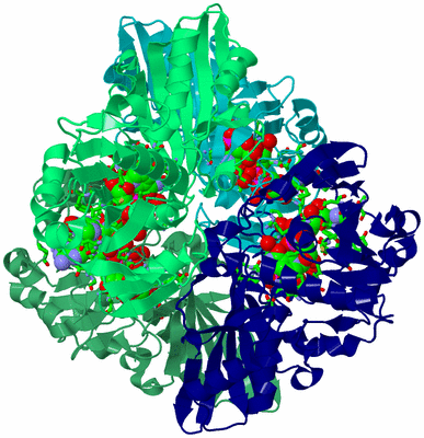 Image Asym./Biol. Unit - sites