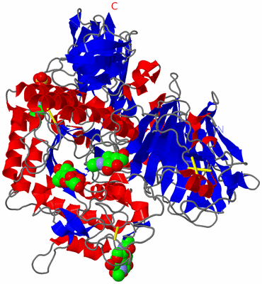 Image Asym./Biol. Unit