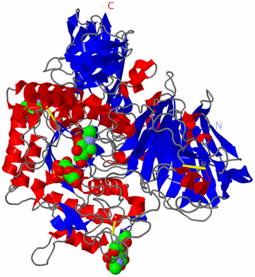 Image Asym./Biol. Unit