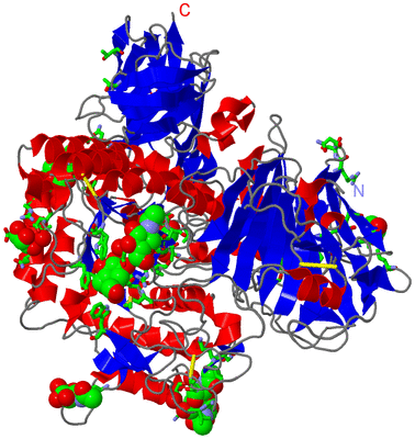 Image Asym./Biol. Unit - sites