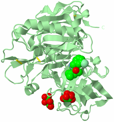 Image Biological Unit 2