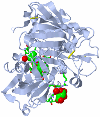 Image Biol. Unit 1 - sites