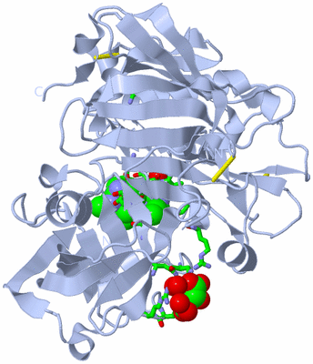 Image Biol. Unit 1 - sites