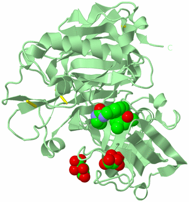 Image Biological Unit 2