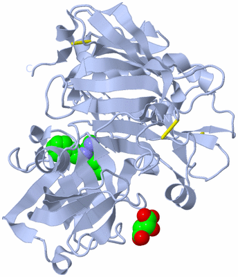 Image Biological Unit 1