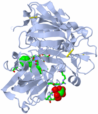 Image Biol. Unit 1 - sites