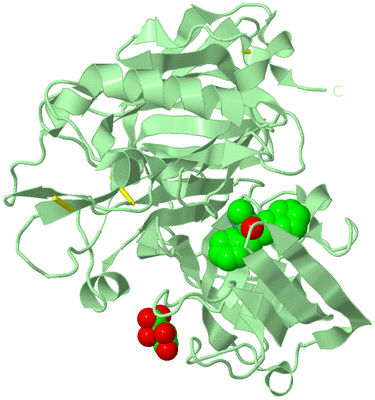 Image Biological Unit 2