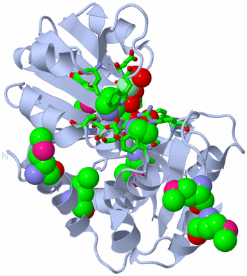 Image Biol. Unit 1 - sites