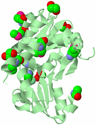 Image Biological Unit 2