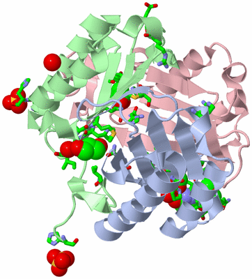 Image Asym./Biol. Unit - sites