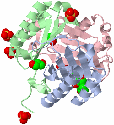 Image Asym./Biol. Unit