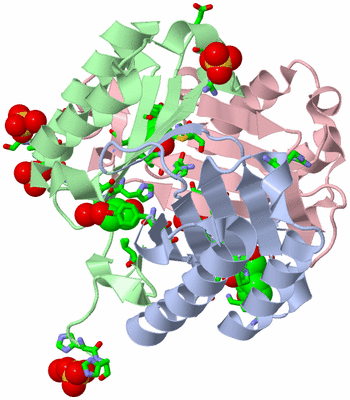 Image Asym./Biol. Unit - sites