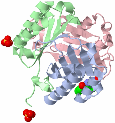 Image Asym./Biol. Unit