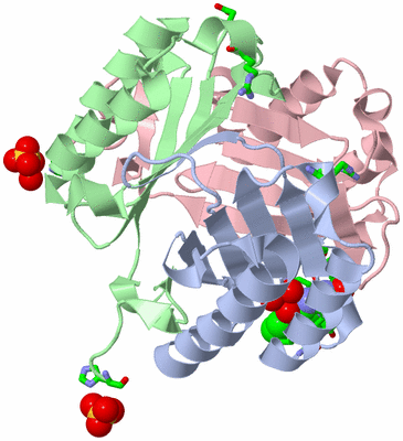 Image Asym./Biol. Unit - sites