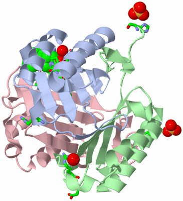 Image Asym./Biol. Unit - sites