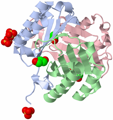 Image Asym./Biol. Unit