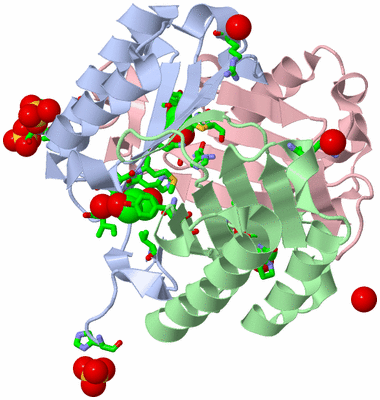 Image Asym./Biol. Unit - sites