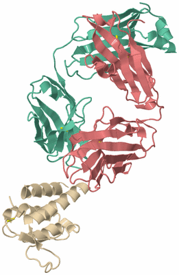 Image Biological Unit 1