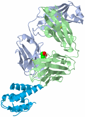 Image Biological Unit 2