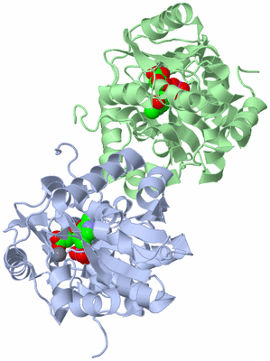 Image Asym./Biol. Unit