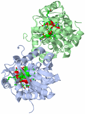 Image Asym./Biol. Unit - sites