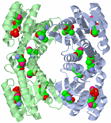 Image Biological Unit 2