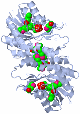 Image Biological Unit 3