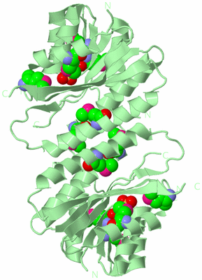 Image Biological Unit 4