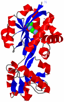 Image Asym./Biol. Unit