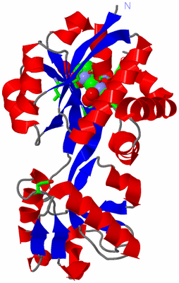 Image Asym./Biol. Unit - sites