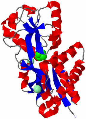 Image Asym./Biol. Unit