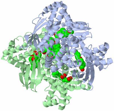 Image Biological Unit 3