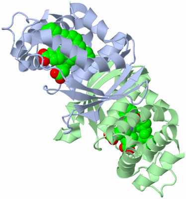 Image Biological Unit 4