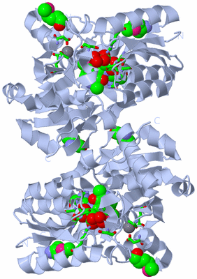 Image Biol. Unit 1 - sites