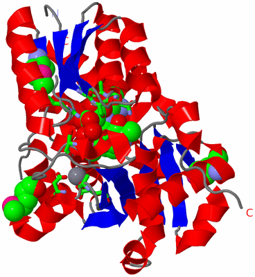 Image Asym. Unit - sites